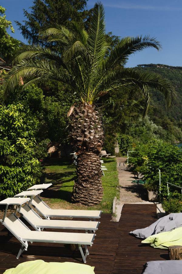Hotel La Culla Del Lago كاستل غاندولفو المظهر الخارجي الصورة